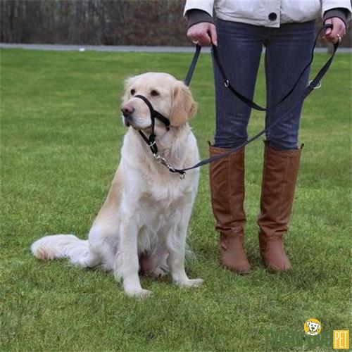 TRIXIE UZMAN KÖPEK EĞİTİM TASMASI 46 CM - XL