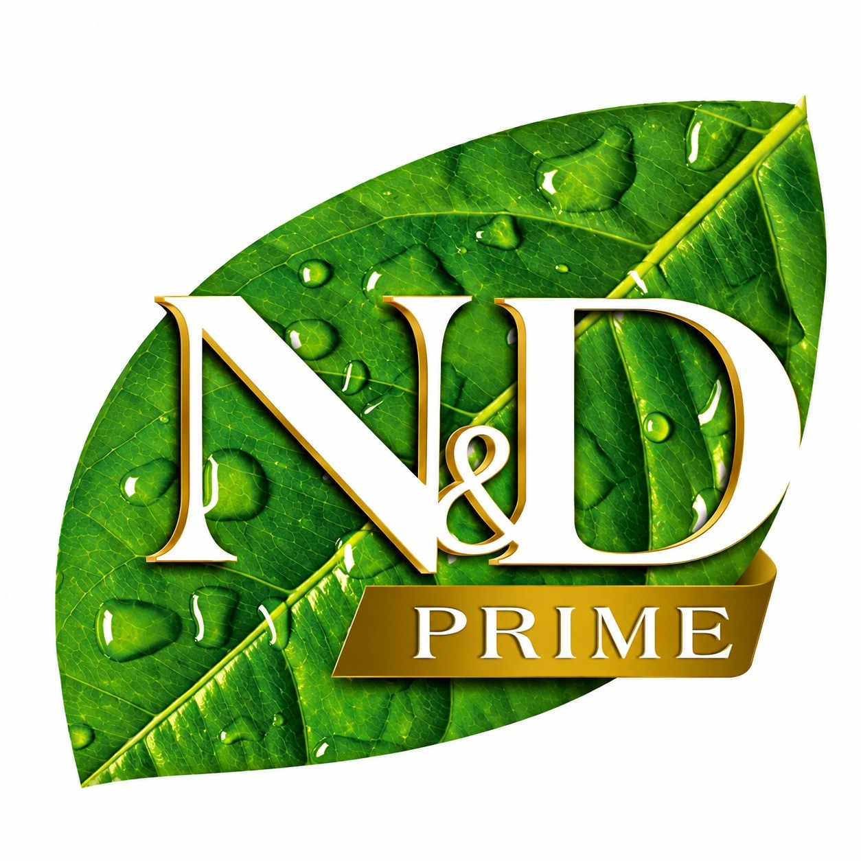 N & D