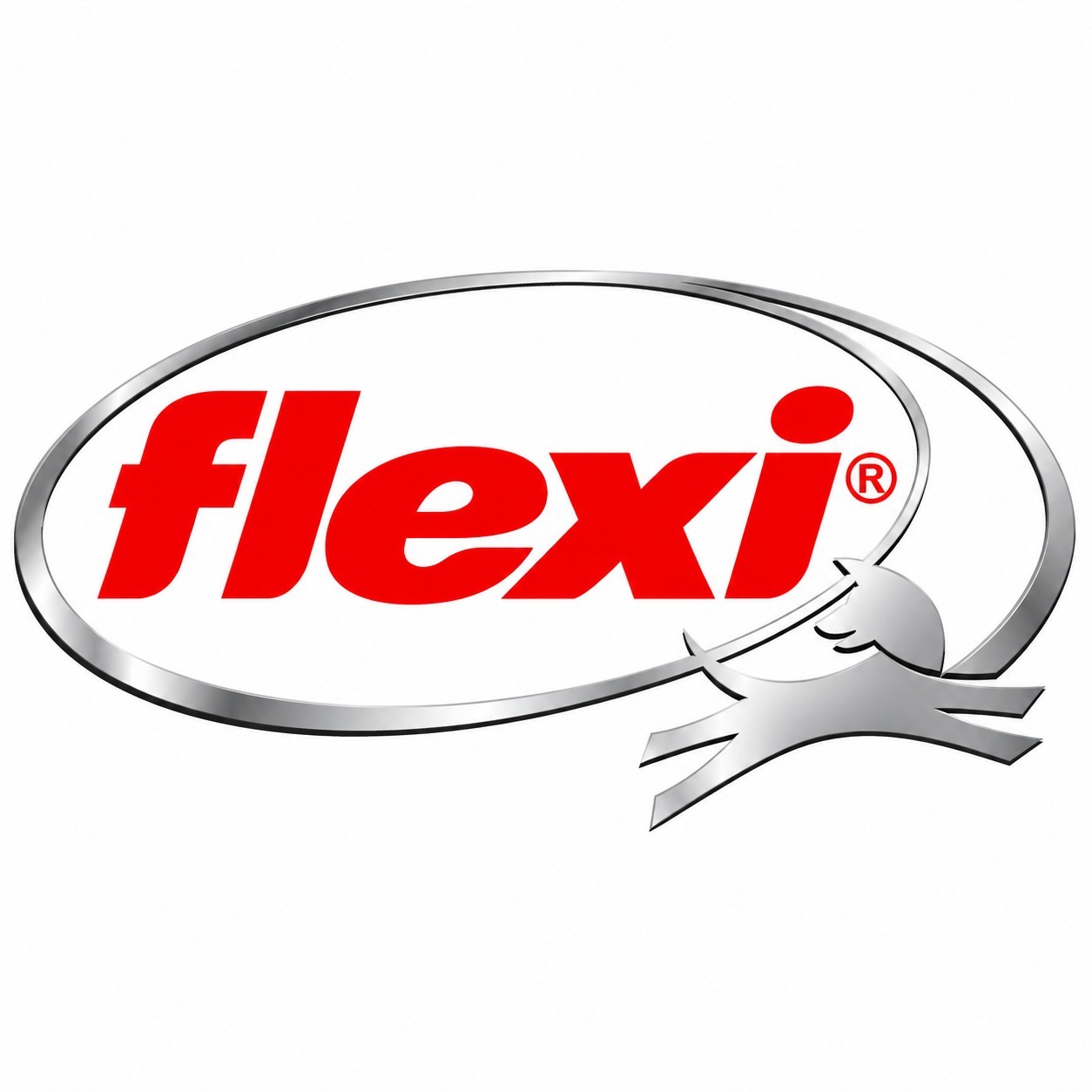 FLEXI
