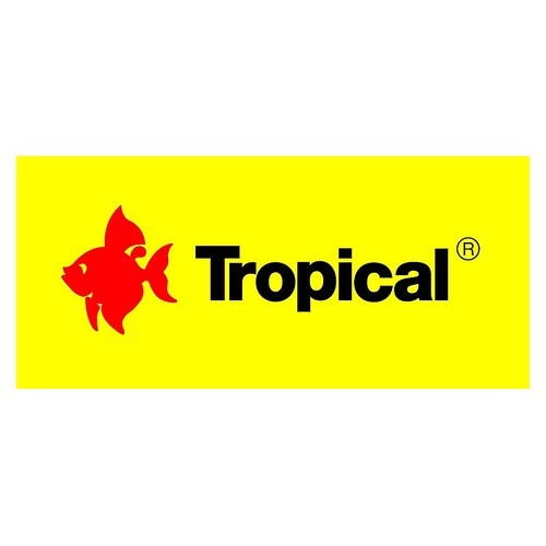 TROPICAL