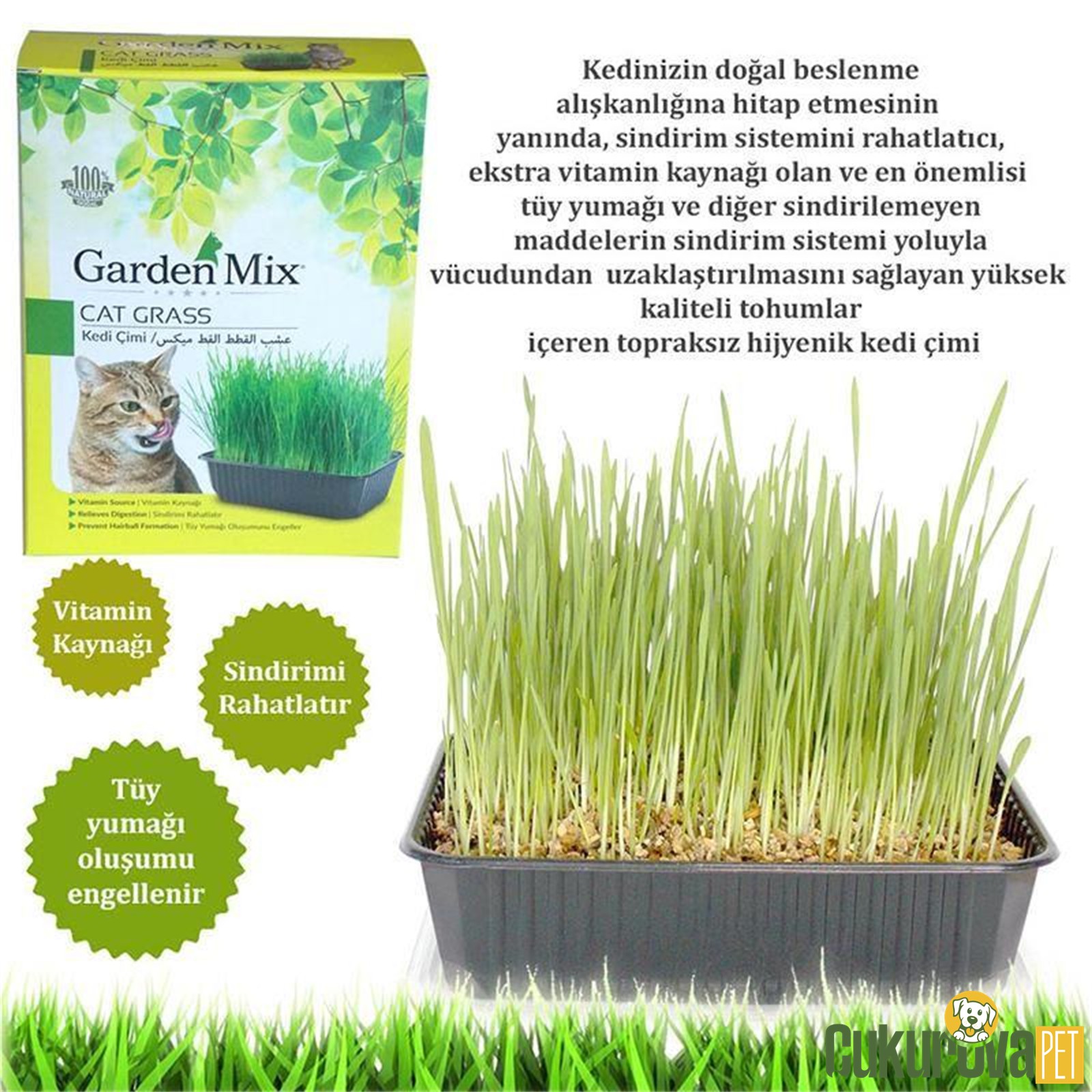 Gardenmix Kedi Çimi