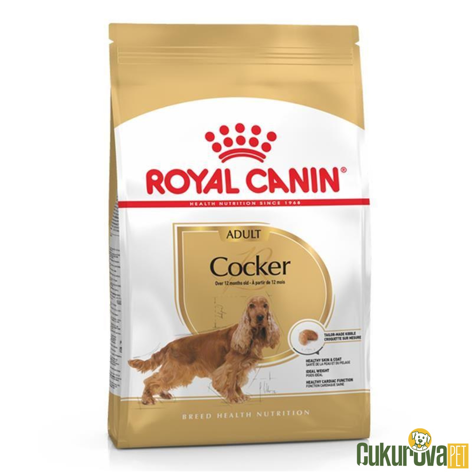 Royal Canin Adult Cocker Yetişkin Köpek Maması 3 Kg