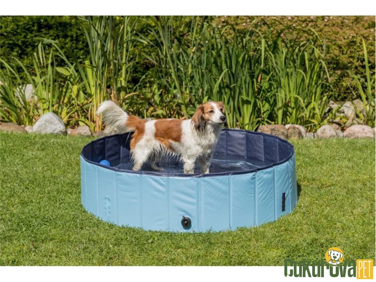 Trixie Köpek Havuzu 160 x 30 Cm