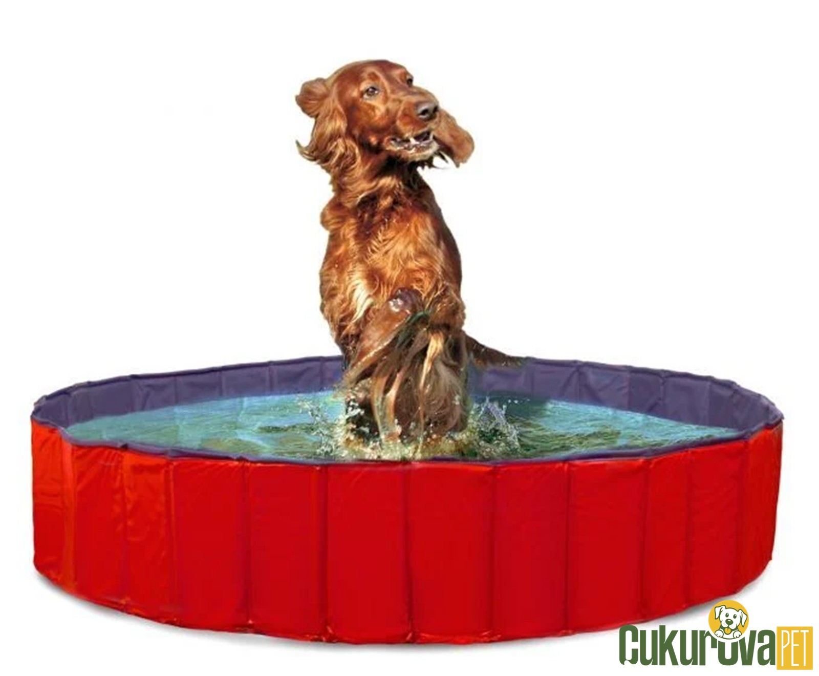 Karlie Köpek Havuzu 160 Cm Çap - Mavi̇ Kırmızı