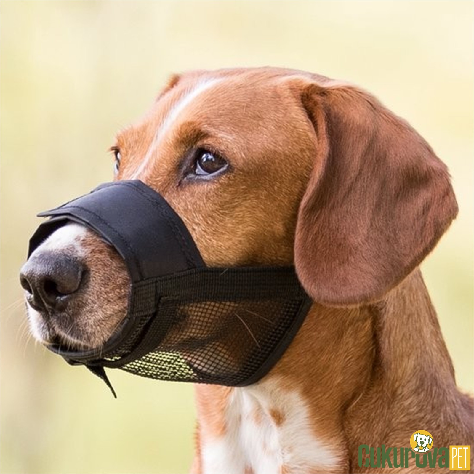 Trixie Fi̇leli̇ Köpek Ağızlığı Burun 18 - 28 Cm - M - L