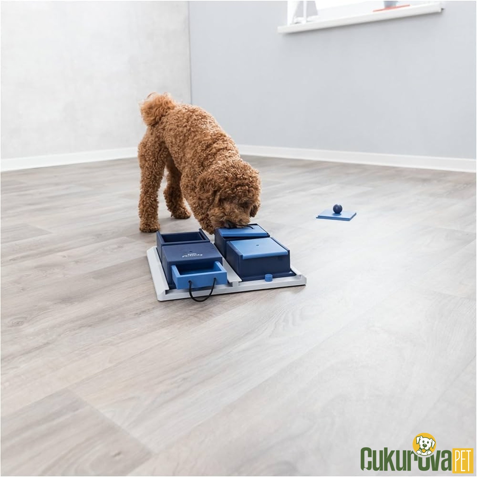 Trixie Köpek Zeka Eği̇ti̇m Oyuncağı Poker 31 x 10 x 31 Cm