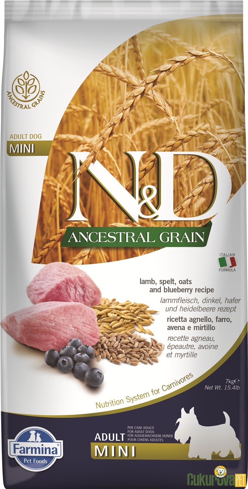N&D Ancestral Grain Adult Mini Kuzu Etli Ve Yaban Mersinli Yetişki̇n Köpek Maması 7 Kg