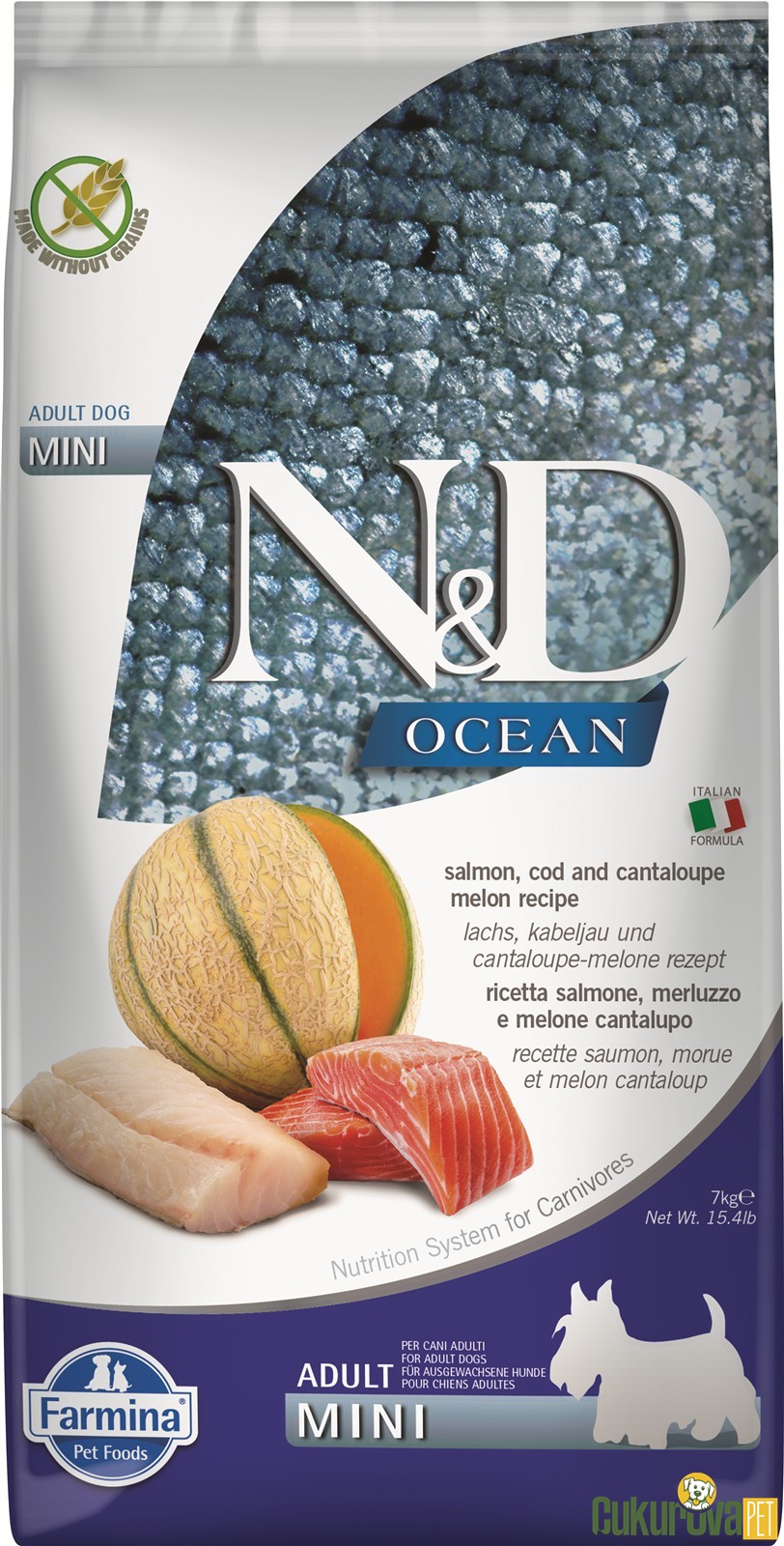 N&D Ocean Adult Mini Somonlu Morina Balıklı Ve Kavunlu Yetişkin Köpek Maması 7 Kg