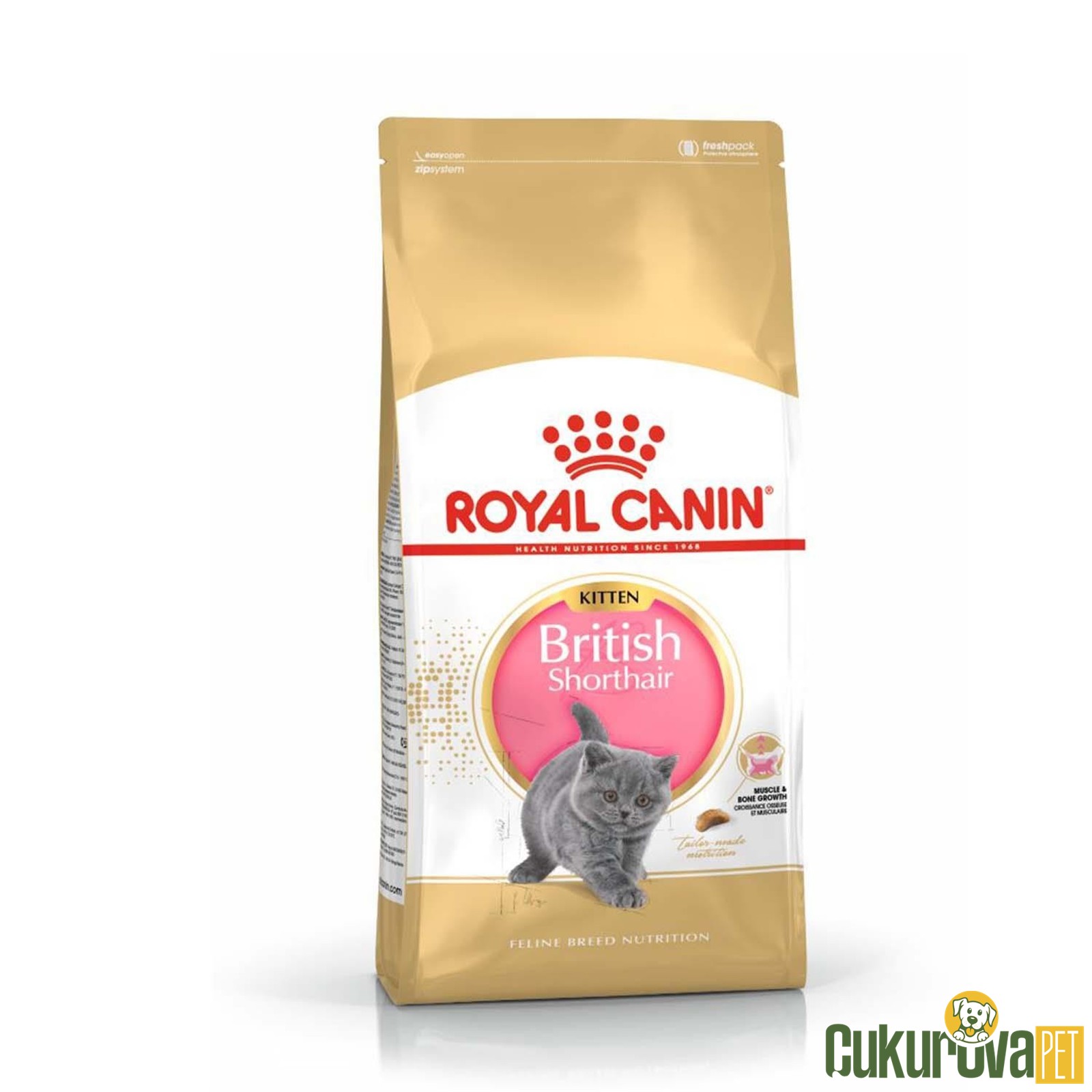 Royal Canin Kitten British Shorthair Yavru Kedi Maması 2 Kg