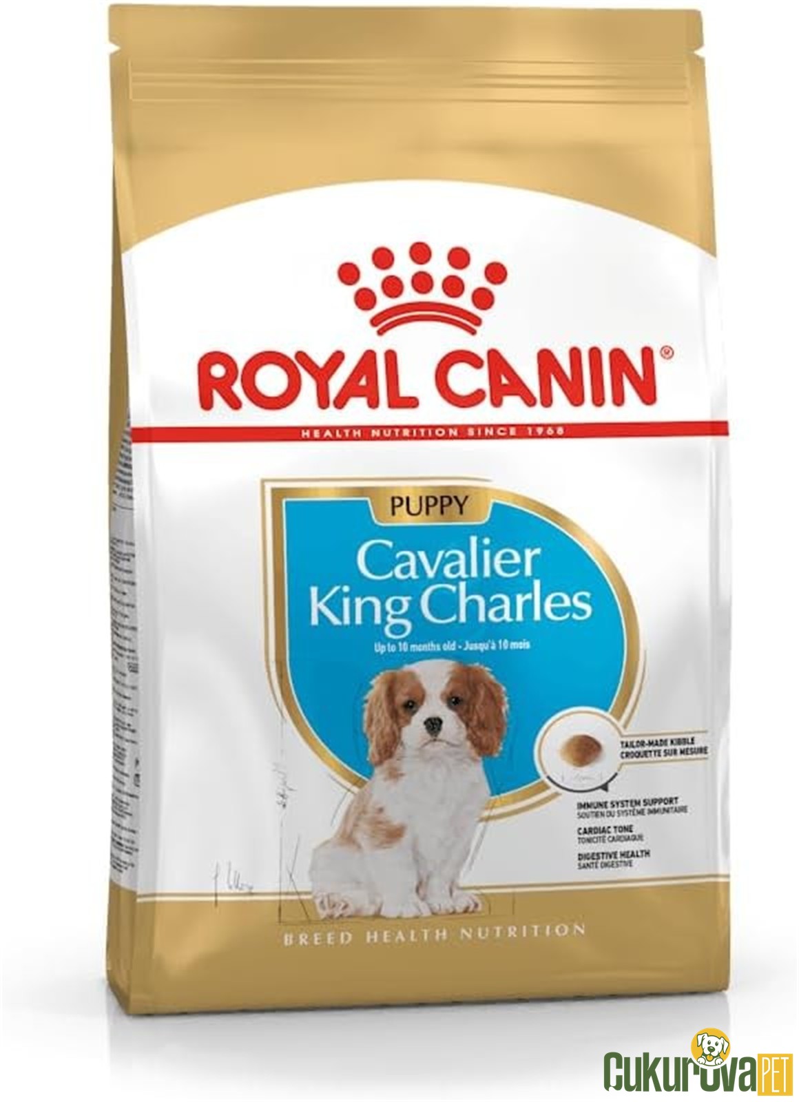 Royal Canin Puppy Cavalier King Charles Yavru Köpek Maması 1.5 Kg