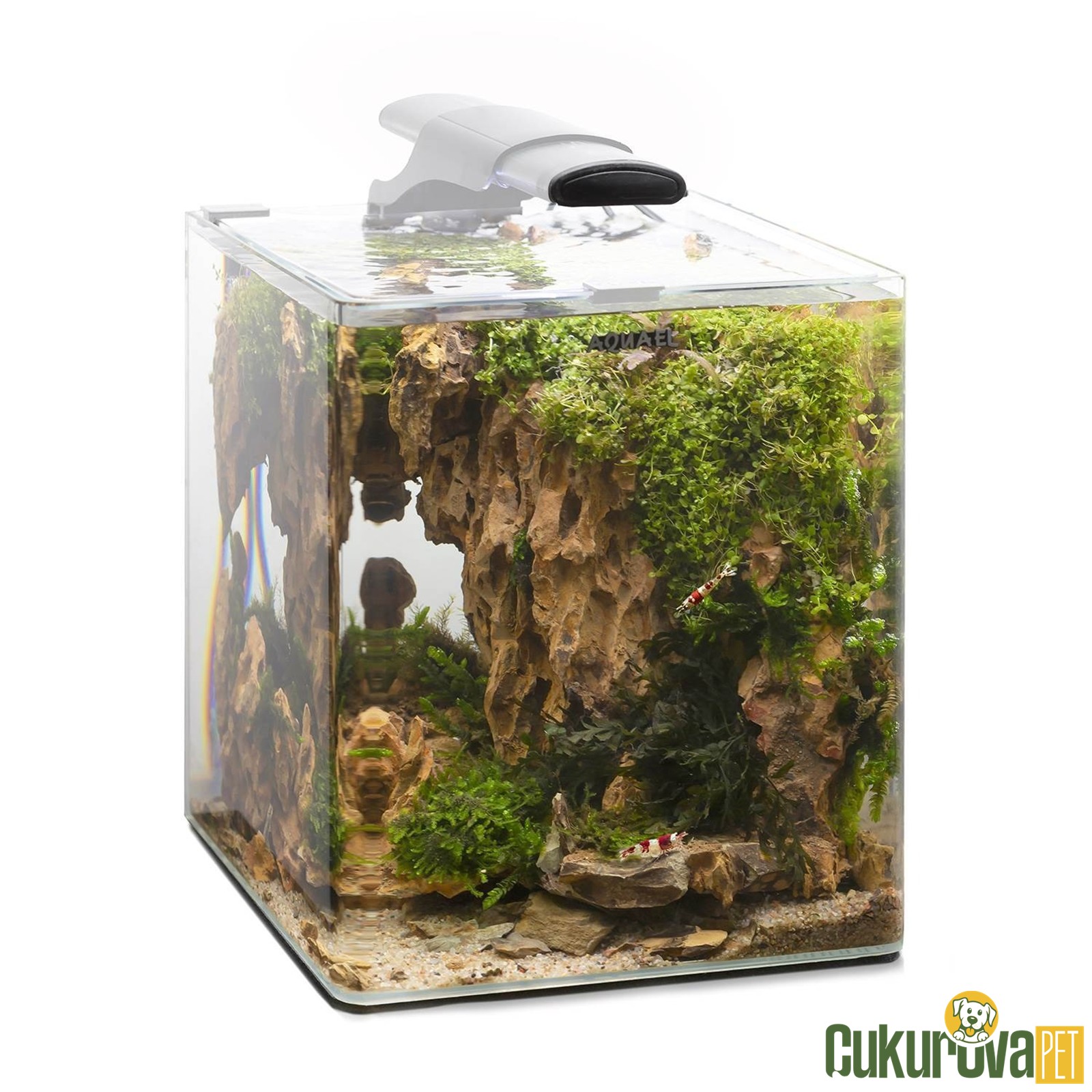 Aquael Optibent Set 20 Full Set Akvaryum 19 L - Beyaz