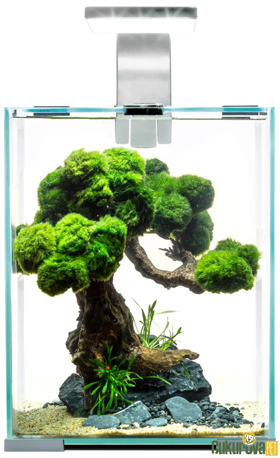 Aquael Shrimp Set Day And Night 10 Kari̇des Akvaryum 10 L - Beyaz