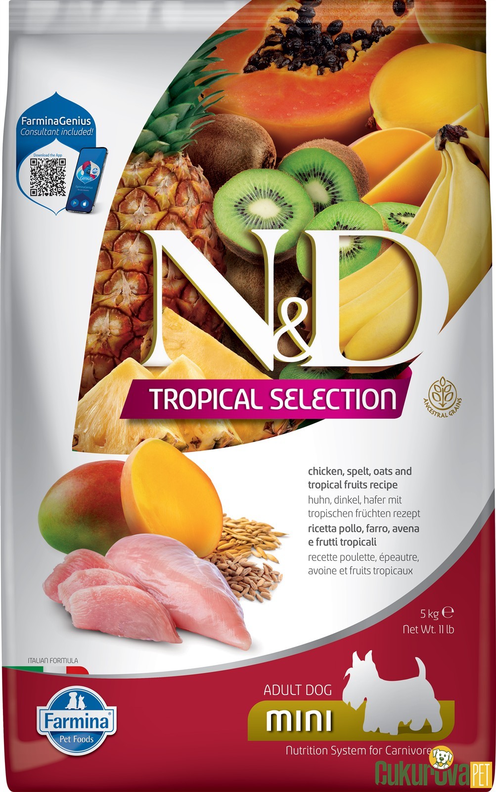 N&D Tropical Selection Adult Mini Tavuklu Ve Tropikal Meyveli Yeti̇şki̇n Köpek Maması 5 Kg
