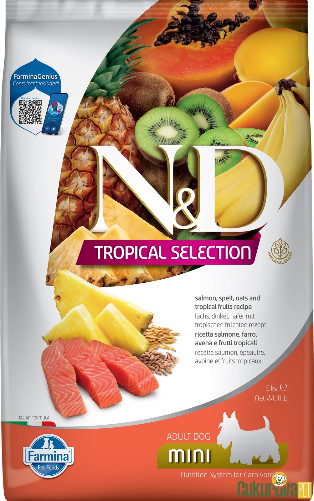 N&D Tropical Selection Adult Mini Somonlu Ve Tropikal Meyveli Yetişkin Köpek Maması 5 Kg