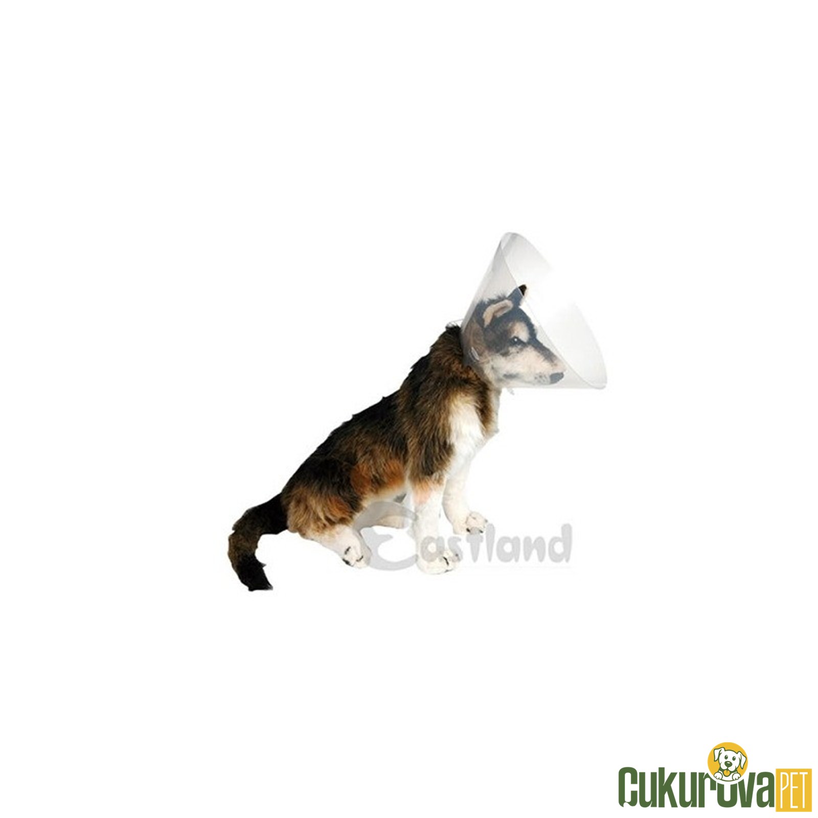 Eastland Elizabet Yakalık 25 Cm