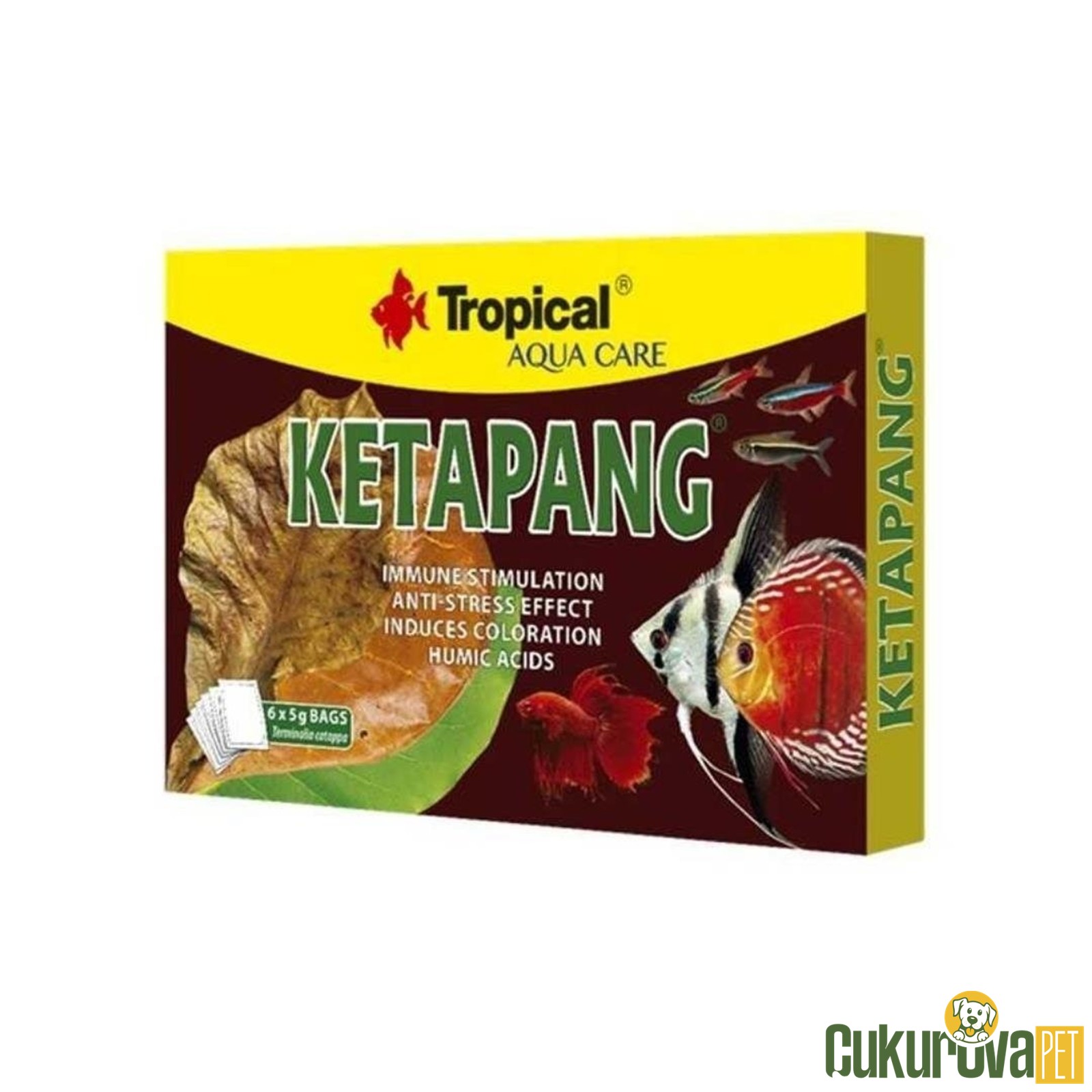 Tropical Ketapang 5 Gr - 6 Adet