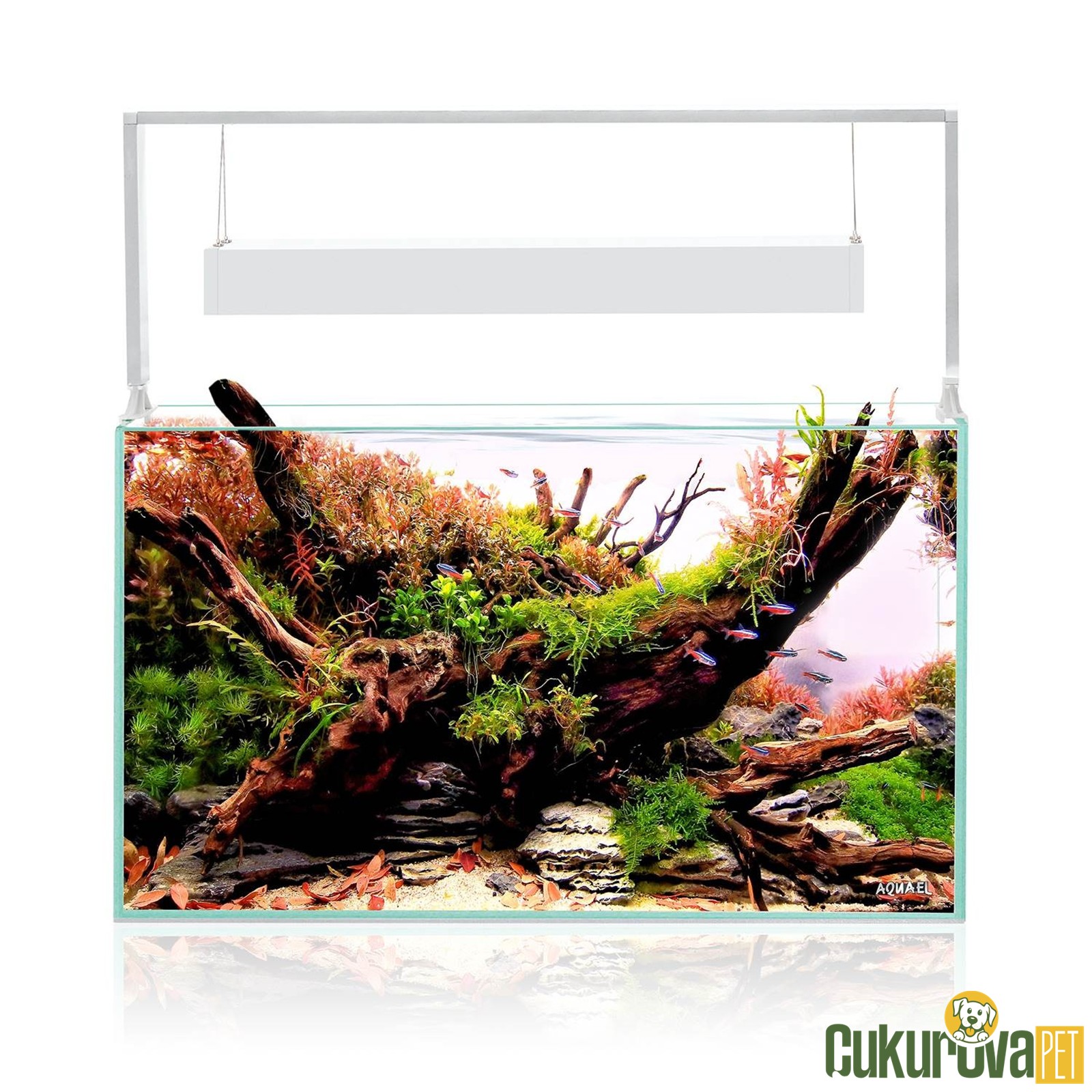 Aquael Ultrascape 60 Snow Akvaryum Set 54 L