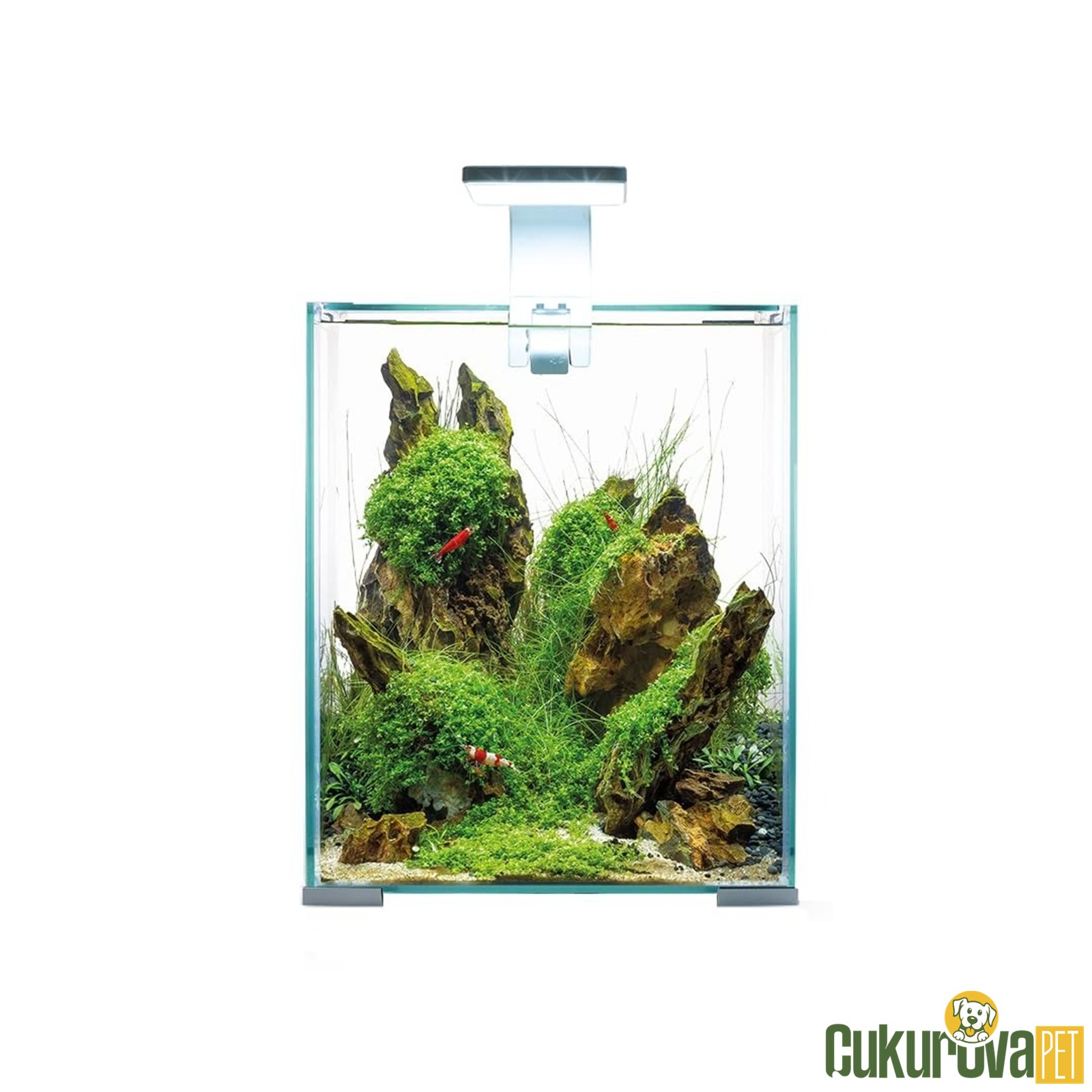 Aquael Shrimp Set Day & Night 30 Akvaryum Set 30 L - Beyaz