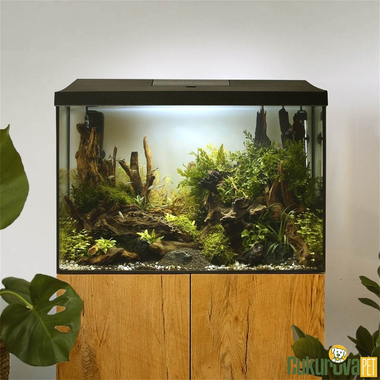 Aquael Leddy Xl Day & Night 60 Akvaryum Seti 72 L - Siyah