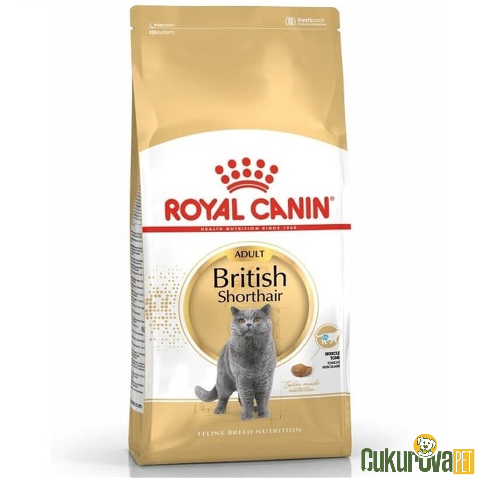 Royal Canin Adult British Shorthair Yetişkin Kedi Maması 400 Gr
