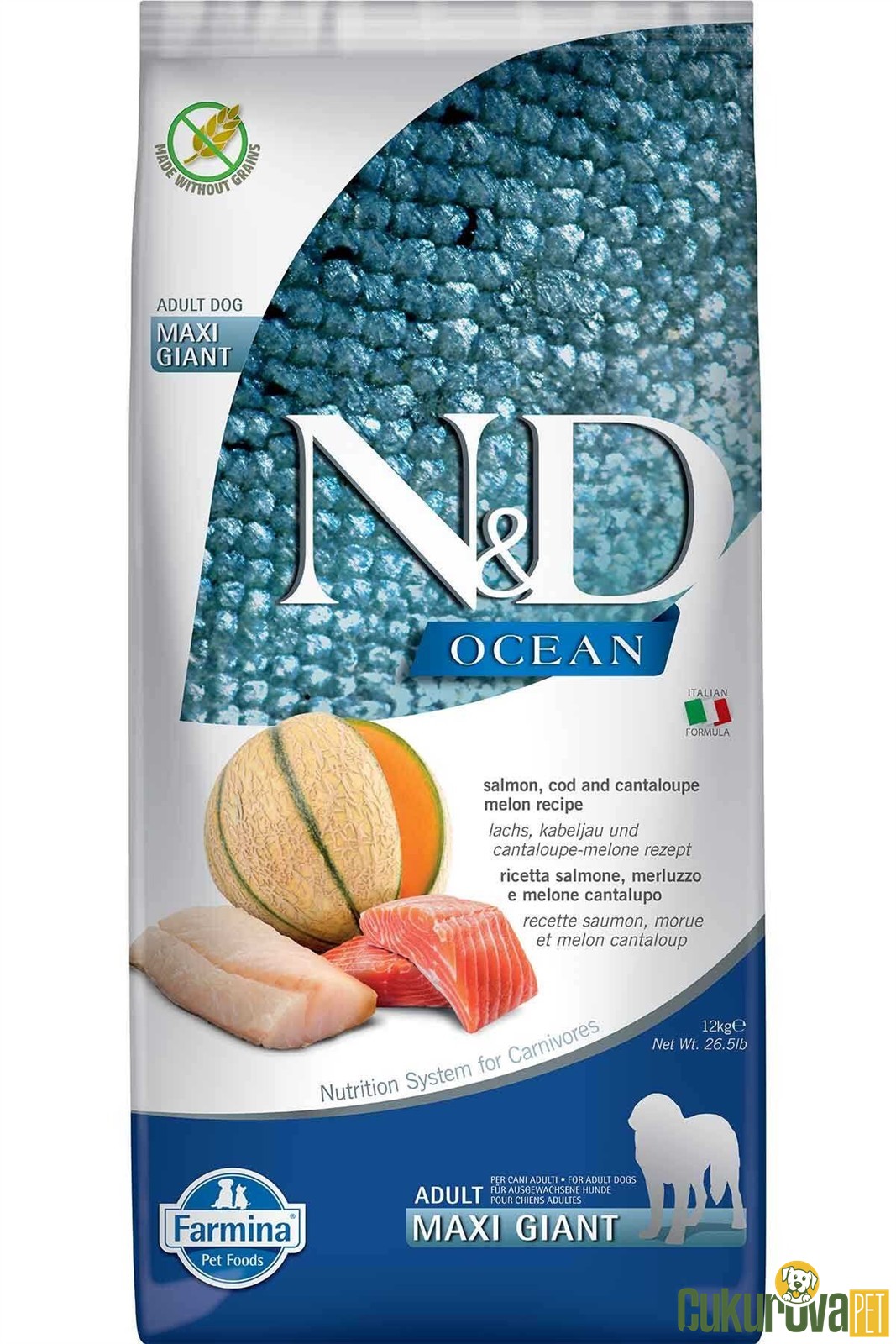 N&D Ocean Adult Maxi Giant Somonlu Ve Morina Balıklı Kavunlu Yetişkin Köpek Maması 12 Kg