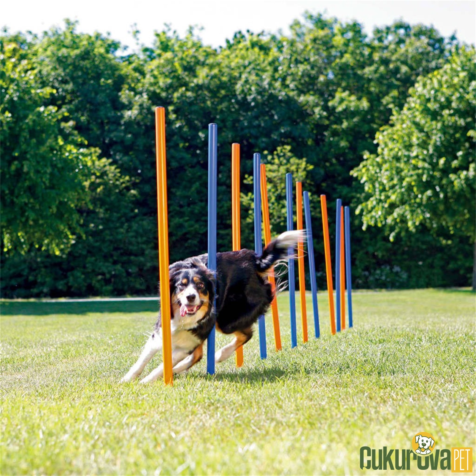 Trixie Agility Köpek Eği̇ti̇m Di̇rekleri̇ 12 Adet - 115 Cm