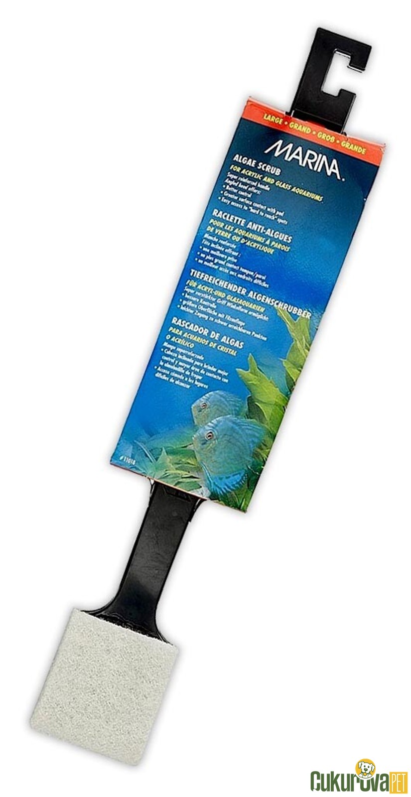 Marina Algae Scrub - Large Cam Temi̇zleme