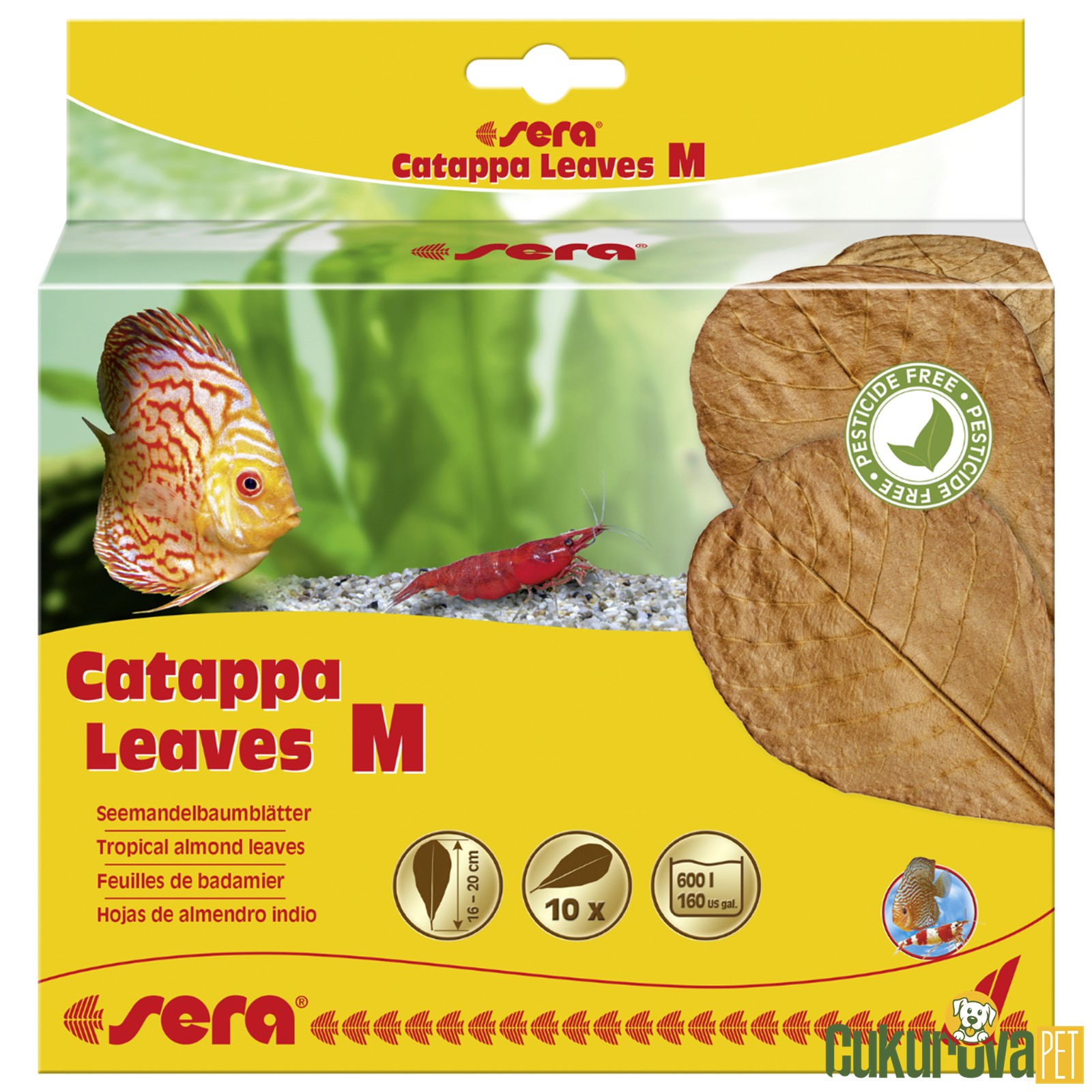 Sera Catappa Yaprağı M - 18 Cm - 10 Adet