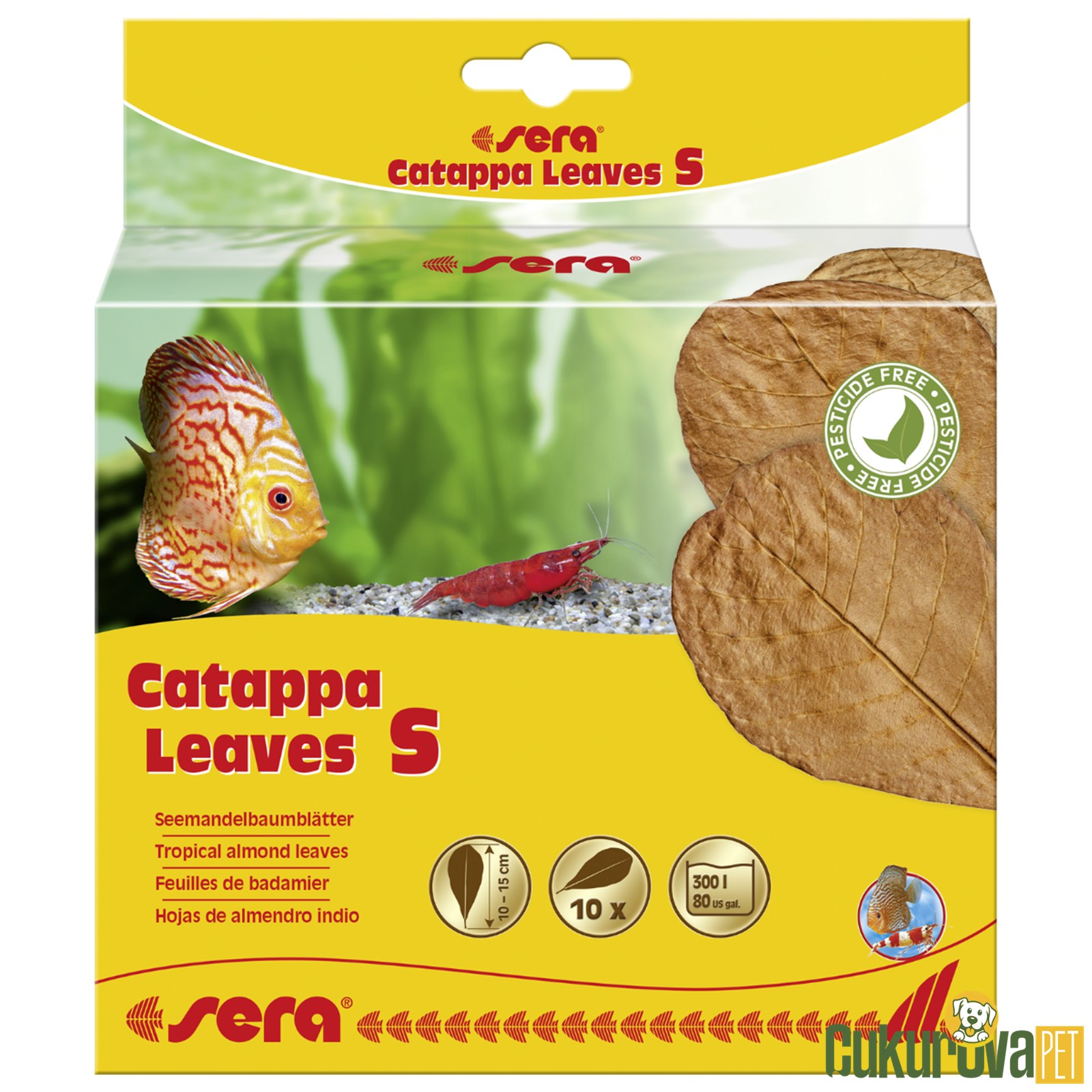 Sera Catappa Yaprağı S - 14 Cm - 10 Adet