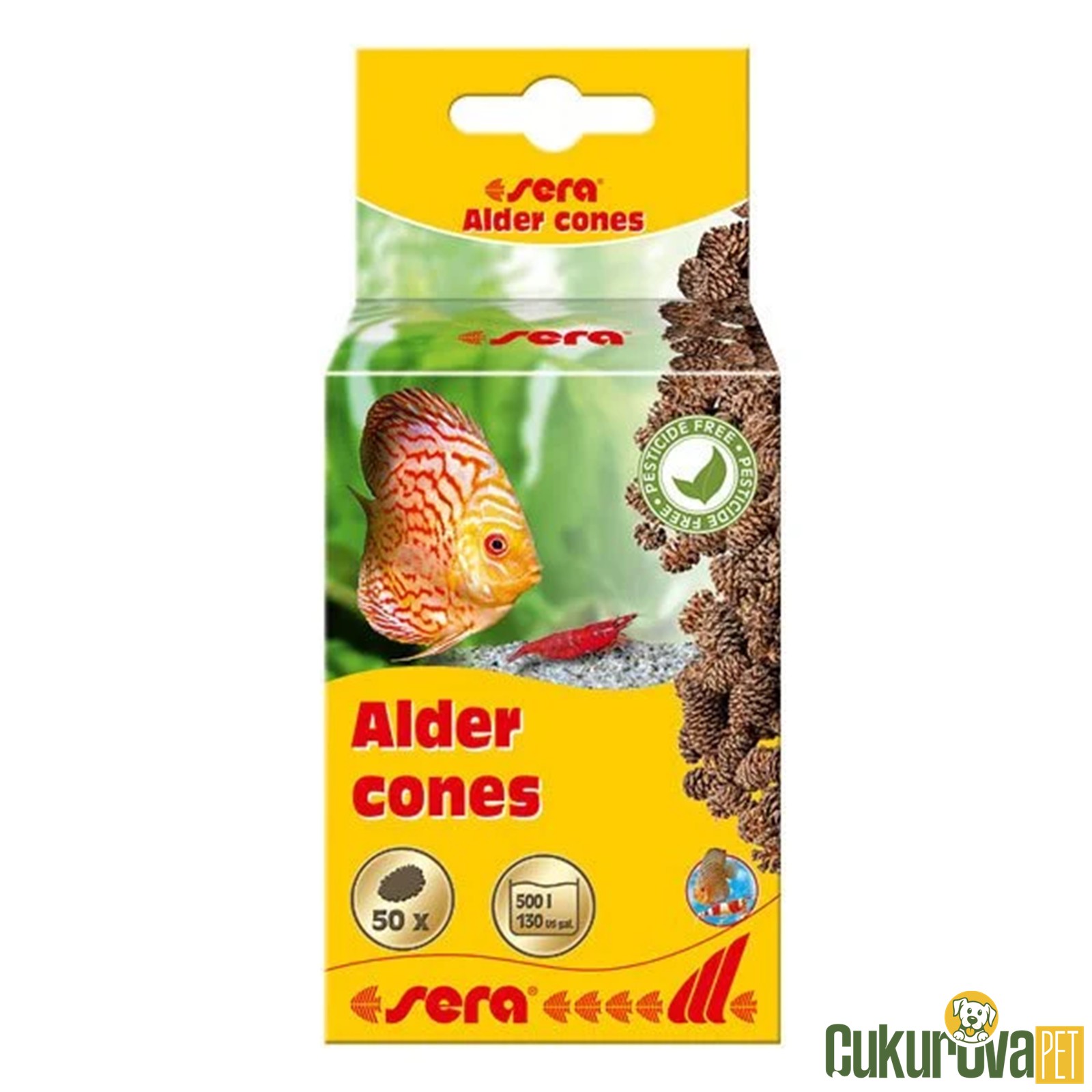 Sera Kızıl Ağaç Kozalağı 50 Adet