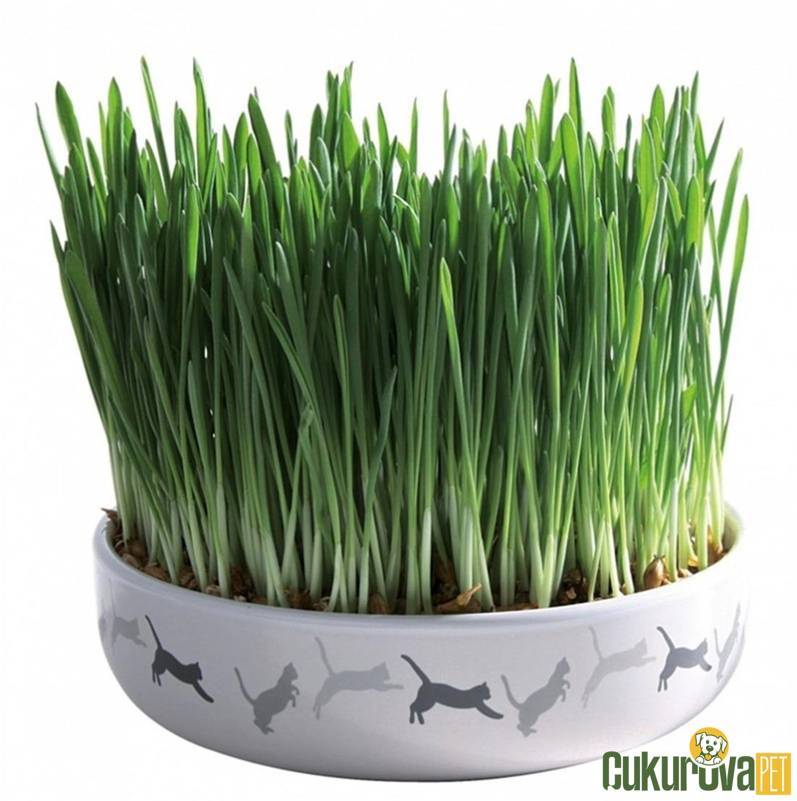 Trixie Serami̇k Kaplı Kedi̇ Çi̇mi̇