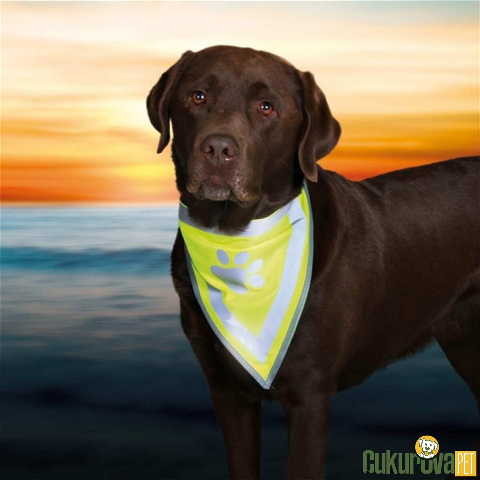 Trixie Polyester Fosforlu Köpek Bandanası S - M - 29 - 42 Cm