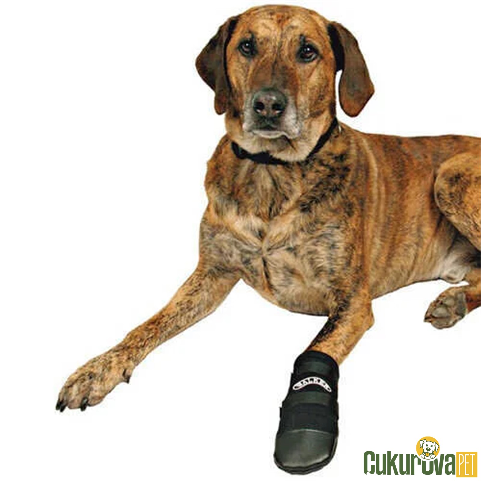 Trixie Yumuşak Köpek Pati̇ği̇ 2'li̇ Xl - Si̇yah