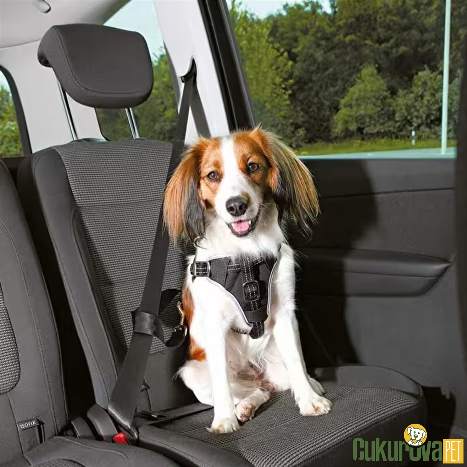 Trixie Köpek Emni̇yet Kemeri̇ Ve Göğüs Tasması 40 - 55 Cm - Si̇yah