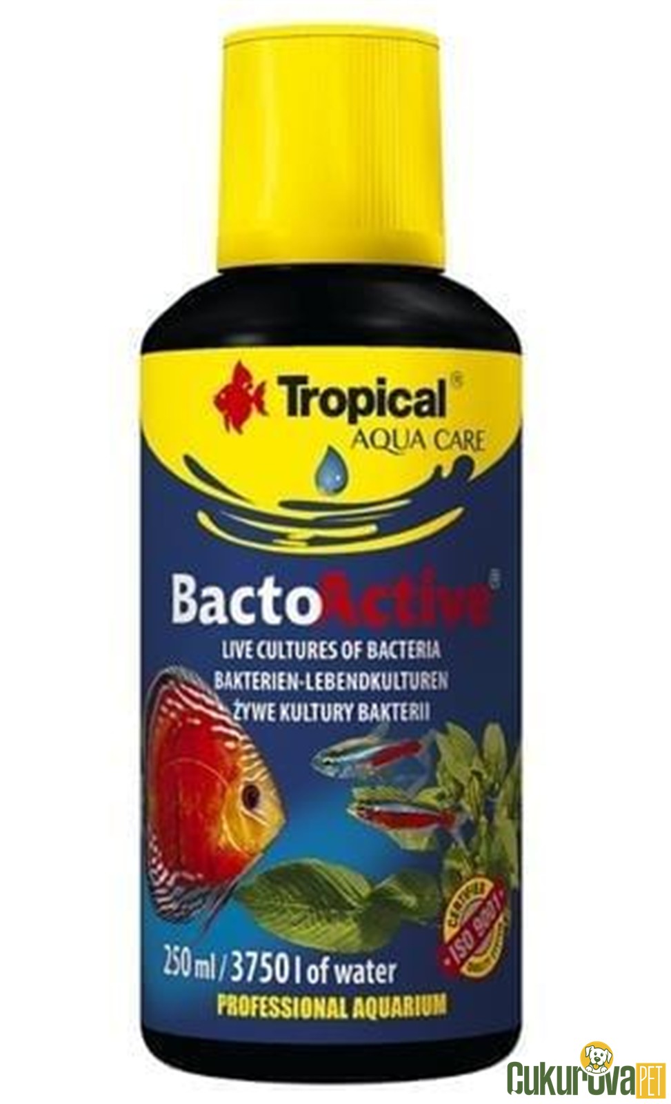 Tropical- Bacto Active 250 Ml