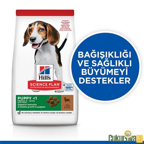 HILL'S SCIENCE PLAN HEALTHY DEVELOPMENT KUZULU ORTA IRK YAVRU KÖPEK MAMASI 12 KG + 2 KG HEDİYE!!