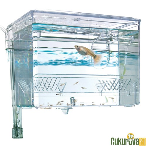 Fluval Breeding Box Askı Yavruluk