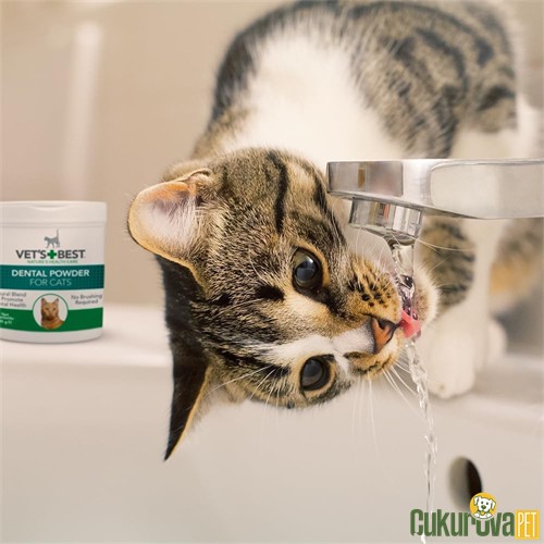 Vet's Best Plaque & Tartar Dental Power Kediler İçi̇n Plak ve Tartar Engelleyici Ağız Bakım Tozu 45 Gr