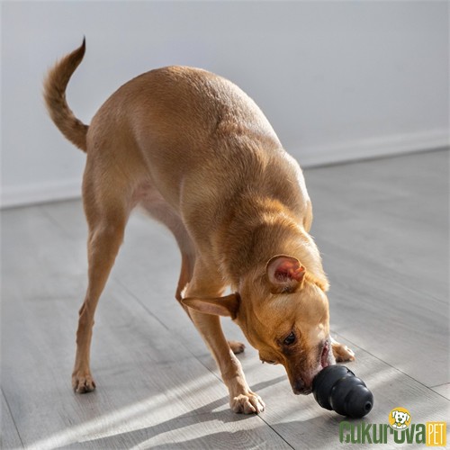 Kong Extreme Sert Kauçuk Köpek Oyuncağı 7 Cm