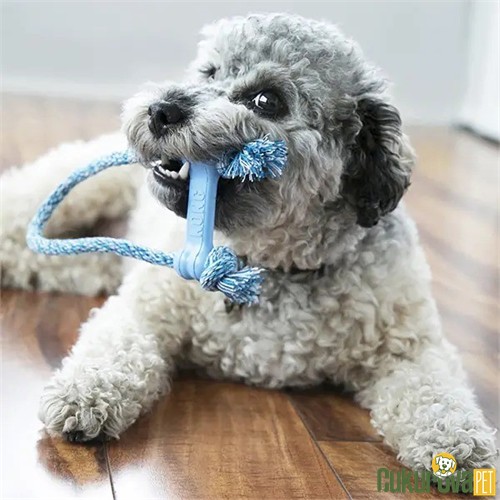 Kong Goodie Bone İpli Köpek Oyuncağı Xs - 17 Cm