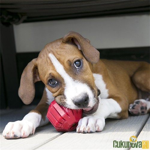 Kong Stuff -A - Ball Köpek Oyuncağı L - 9.5 Cm