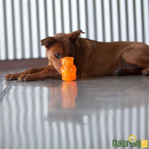 Kong Squeezz Jels Sesli Köpek Oyuncağı Karışık Renkli - L / 9.5 Cm