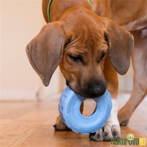 Kong Puppy Lastik Yavru Köpek Oyuncağı Karışık Renkli - S / 9 Cm