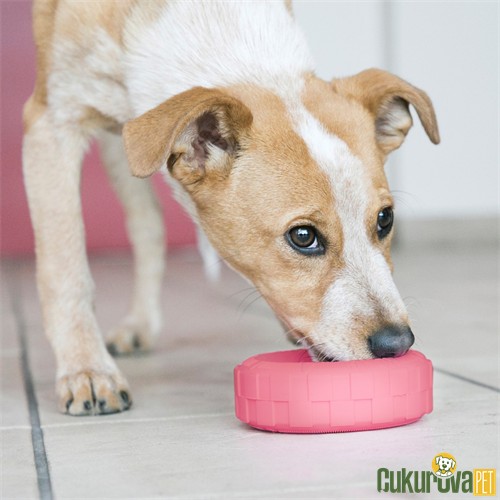 Kong Puppy Lastik Yavru Köpek Oyuncağı Karışık Renkli - S / 9 Cm