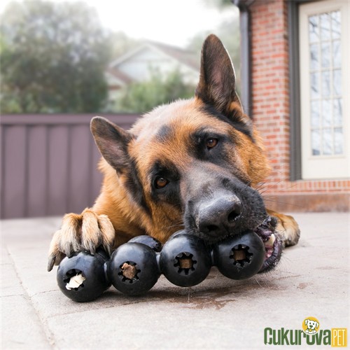 Kong Goodie Ribbon Dayanıklı Ödül Hazneli Köpek Oyuncağı Siyah - M / 18 Cm