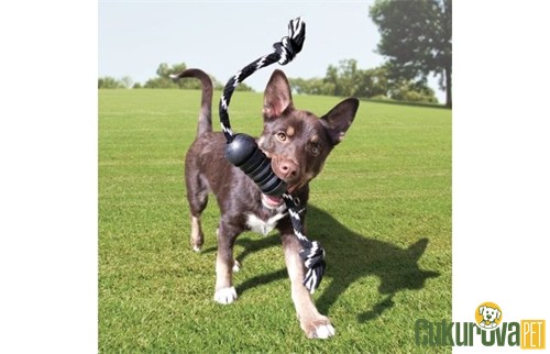 Kong Extreme Dental İp Ultra Sert Köpek Oyuncağı M - 20 Cm