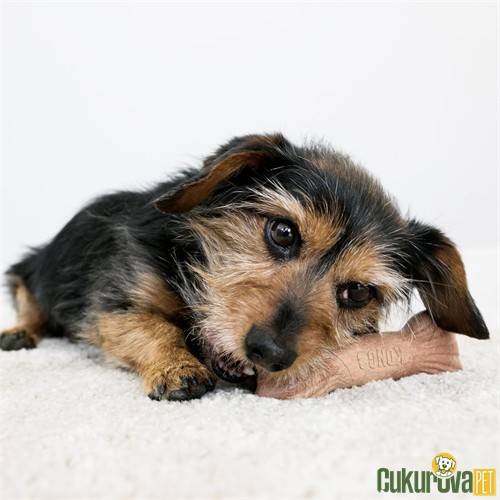 Kong ChewStix Ağaç Dalı Şeklinde Köpek Oyuncağı M - 15 Cm