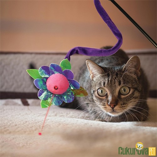 Kong Lazerli Kedi Oltası Karışık Renkli 45 Cm