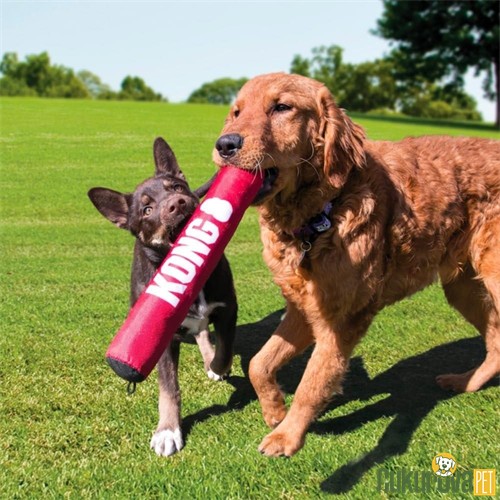Kong Signature Stick Çubuk Şeklinde Köpek Oyuncağı Xl - 20 Cm