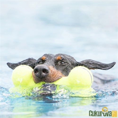 Kong Air Dog Sesli Kumaş Köpek Oyuncağı M - 15.5 Cm